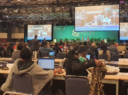 COP15, an historical moment 